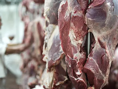 'Tarifaço' aplicado pelos EUA desafia exportações de MS