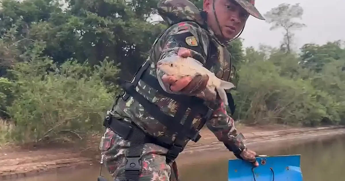 PMA apreende armadilha para captura de peixes durante final de semana