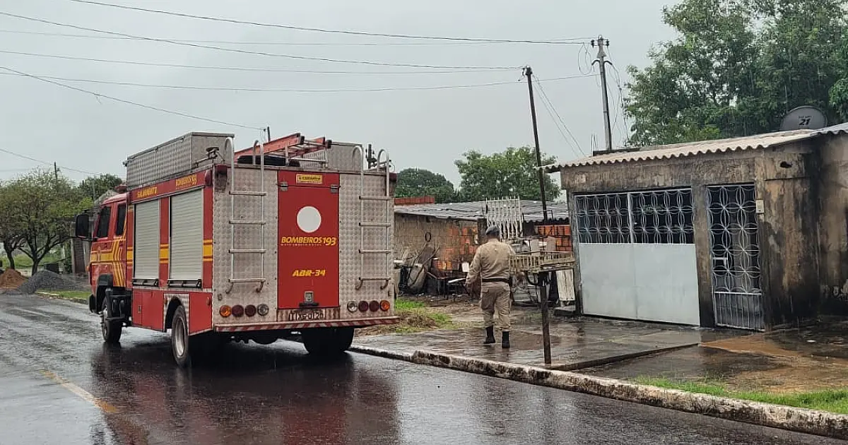 Mãe de filhote de onça é avistada e equipes realizam busca no centro Ladário