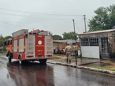 Mãe de filhote de onça é avistada e equipes realizam busca no centro Ladário