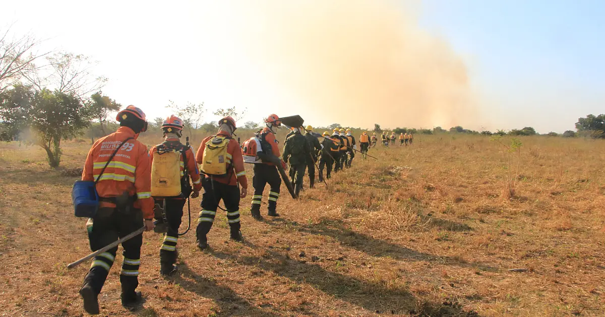 Reduzem para quatro o número de focos de incêndio ativos no Pantanal