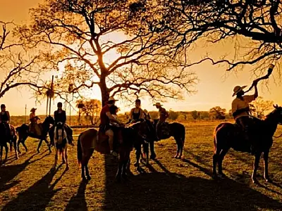 MS participa da BNT Mercosul com capacitação sobre turismo de Bonito e Pantanal