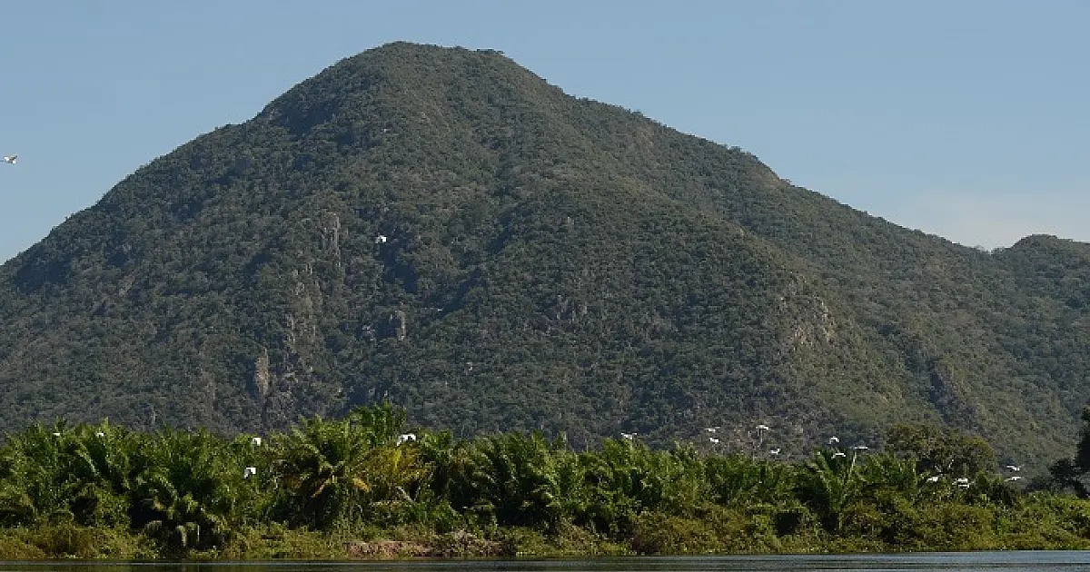 Startup acopla inteligência de dados para monitorar créditos de carbono em projeto no Pantanal