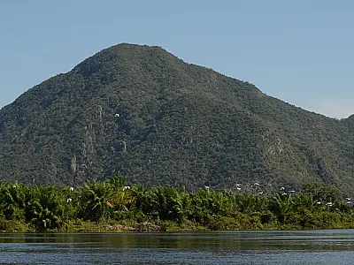 Startup acopla inteligência de dados para monitorar créditos de carbono em projeto no Pantanal
