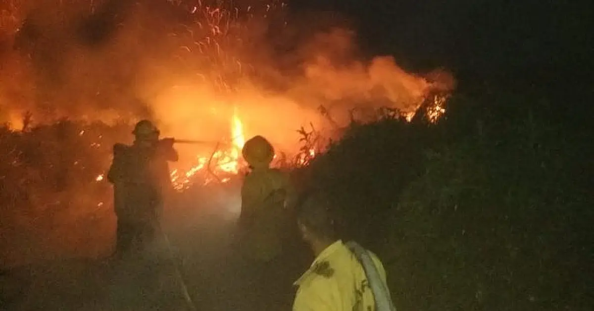 Bolívia pede ajuda ao Brasil para combater incêndios florestais