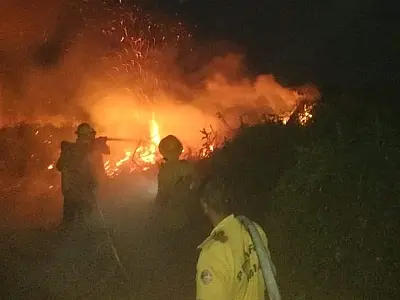 Bolívia pede ajuda ao Brasil para combater incêndios florestais