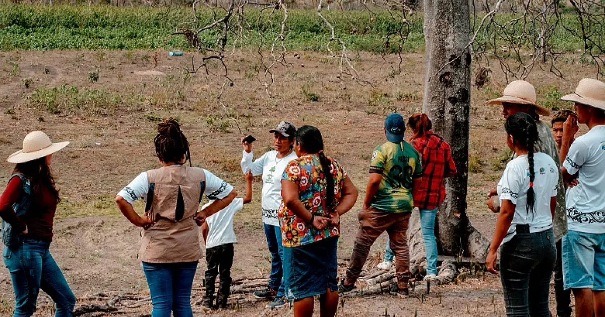 Povo Kadiwéu participa de capacitação para cultivar espécies nativas do Pantanal