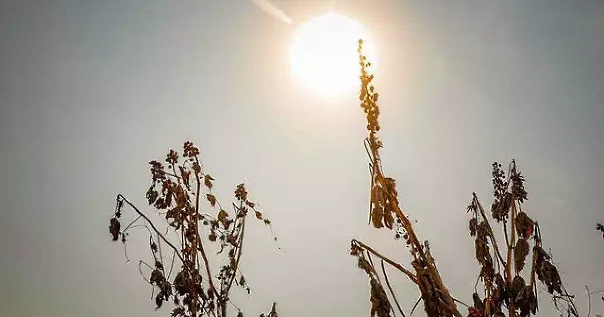 Corumbá e mais 12 municípios de MS estão em alerta para umidade em nível de deserto