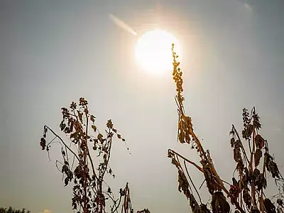 Corumbá e mais 12 municípios de MS estão em alerta para umidade em nível de deserto