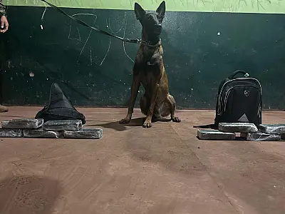 Brasileiras são flagradas com 10 kg de cocaína na BR 262