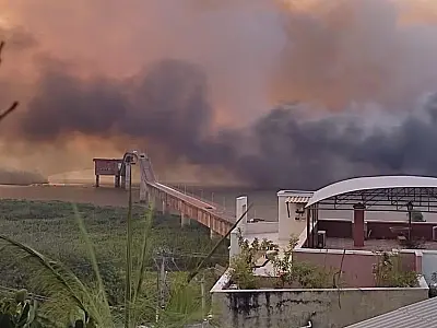 Deputada pede apoio de bancada no combate as queimadas no Pantanal