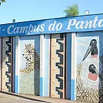 UFMS publica conteúdos programáticos do Vestibular e Passe 2027