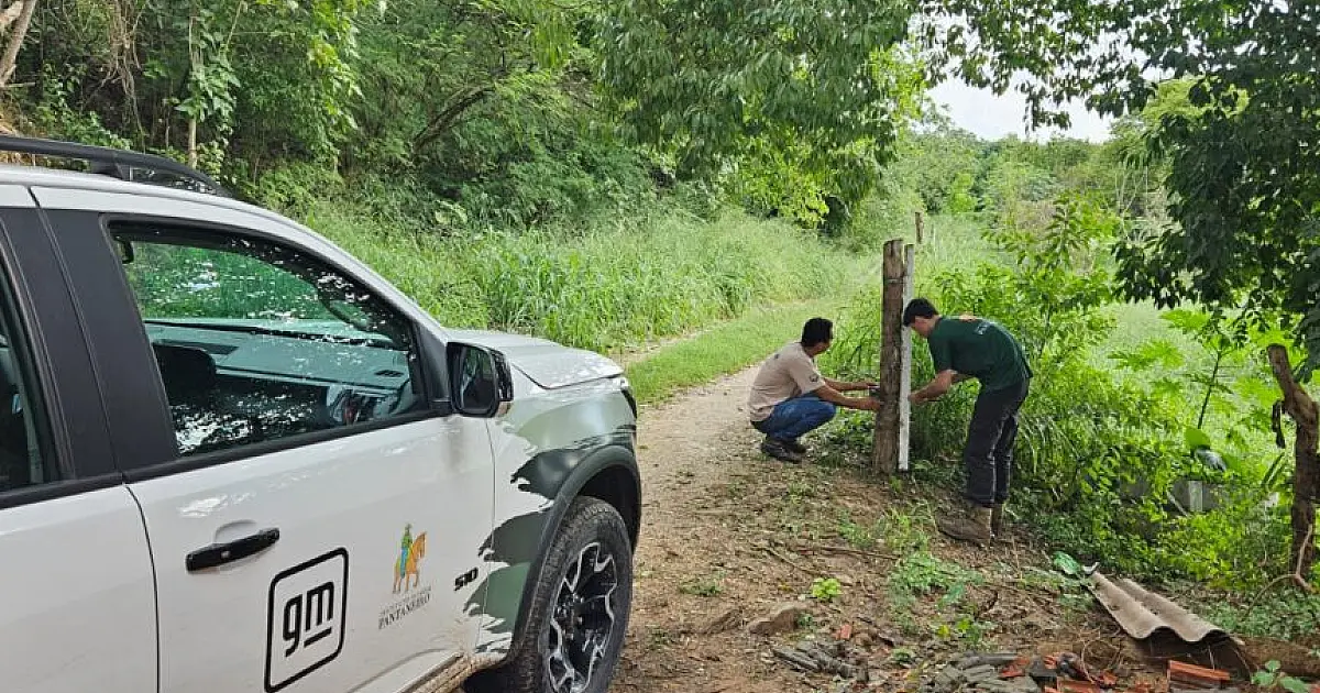 Equipamentos para monitorar onças desaparecem em área urbana de Corumbá