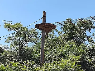 Programa Estrada Viva salva animais silvestres de atropelamentos em Mato Grosso do Sul