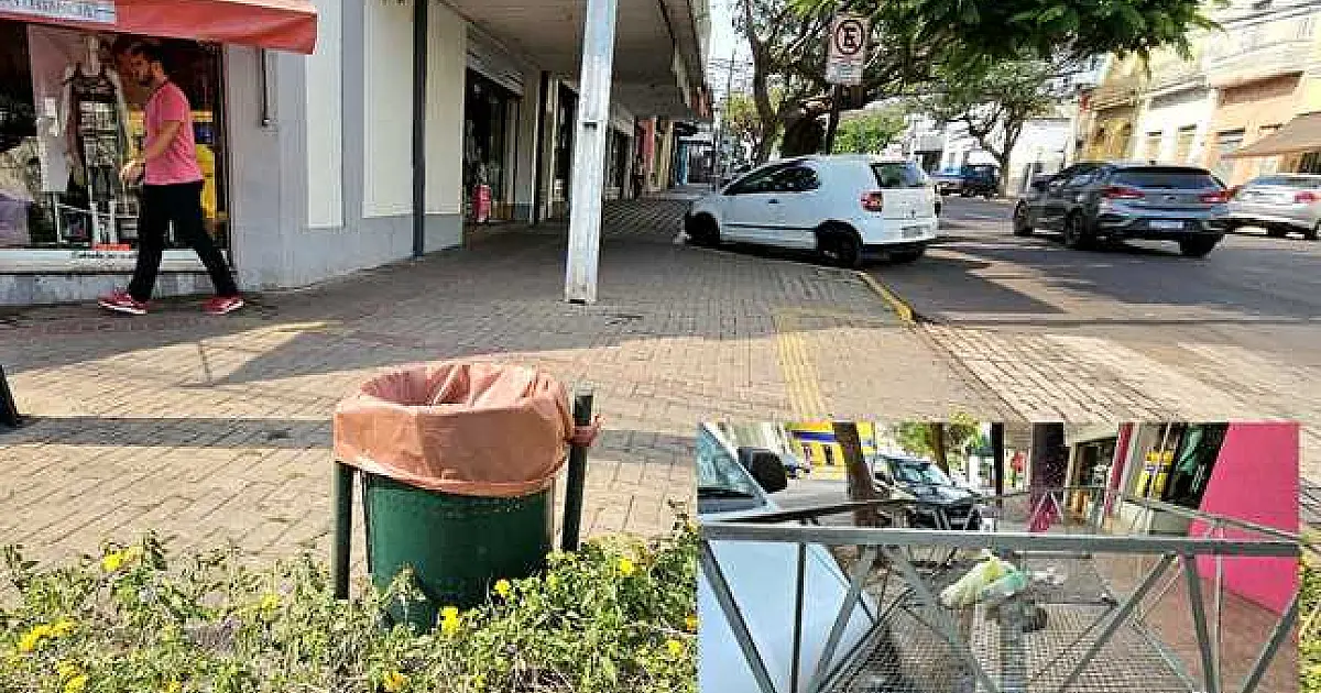 Vereador pede apoio do Governo para compra e instalação de lixeiras na cidade