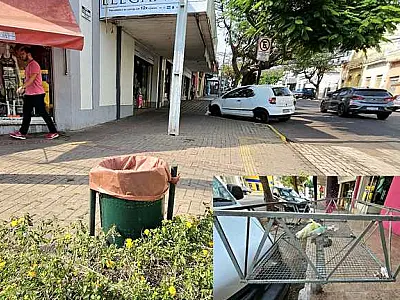 Vereador pede apoio do Governo para compra e instalação de lixeiras na cidade