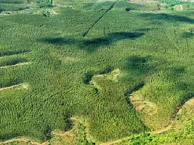 Prefeituras já podem cadastrar ações de Educação Ambiental para concorrer ao ICMS Ecológico