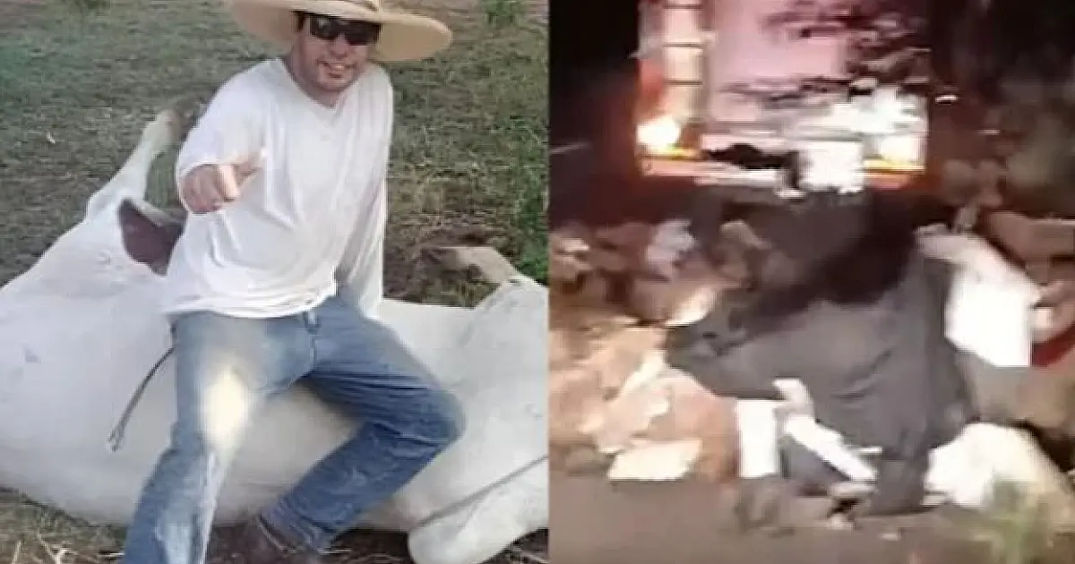 Motorista que morreu em batida com ônibus na BR-262 estava a caminho de fazenda para buscar filhos