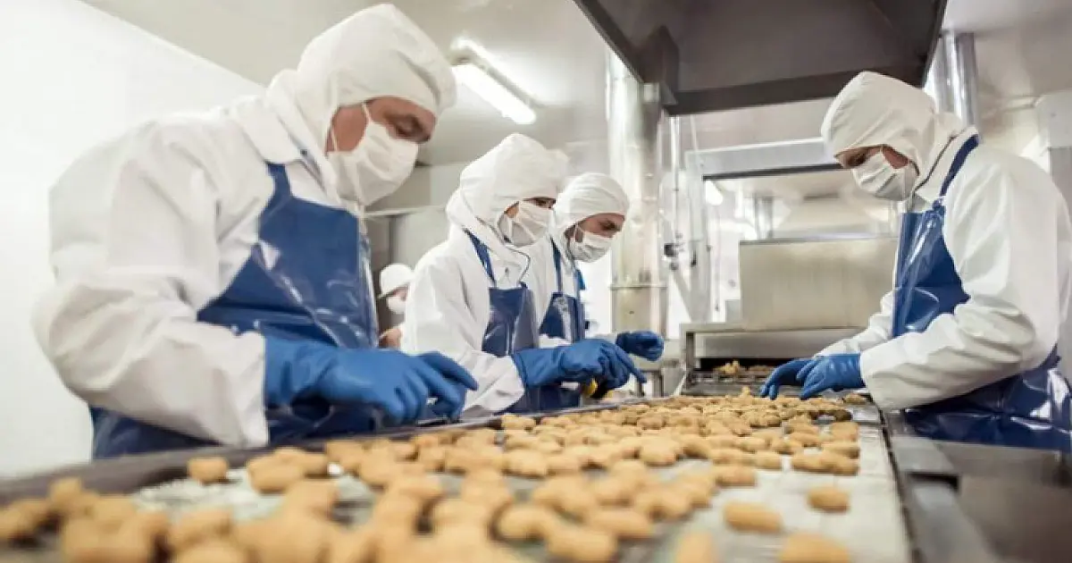 Setor industrial de Corumbá contratou 332 pessoas entre janeiro e junho de 2024