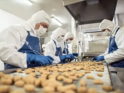 Setor industrial de Corumbá contratou 332 pessoas entre janeiro e junho de 2024
