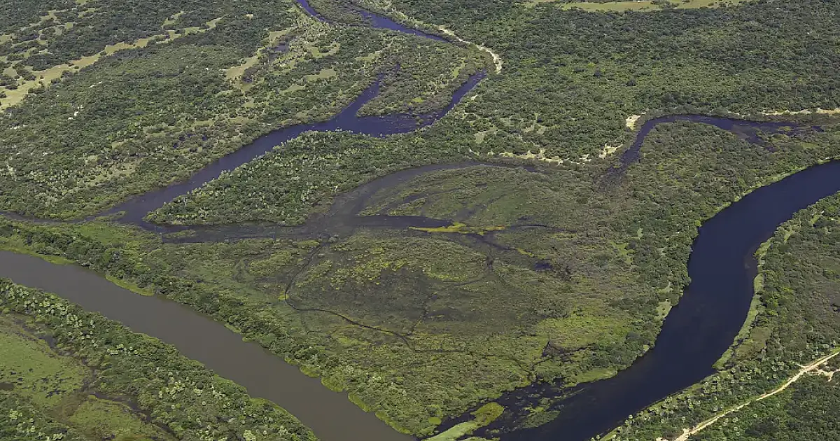 Maior parte da Mata Atlântica tem menos de 30% de vegetação nativa