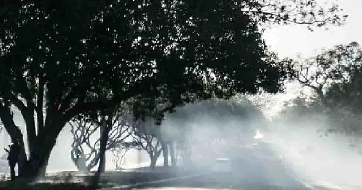 Capital: incêndio volta ao Parque dos Poderes após lixo ser queimado
