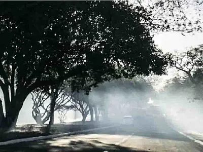 Capital: incêndio volta ao Parque dos Poderes após lixo ser queimado