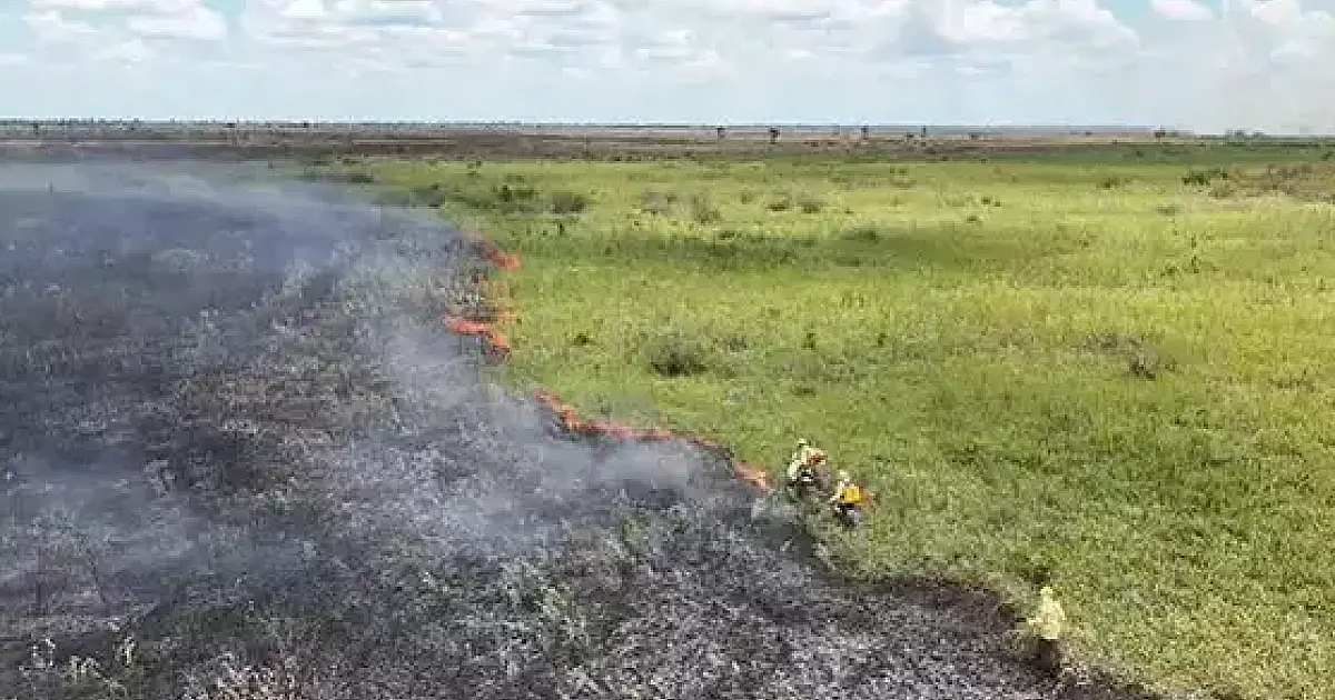 Calor intenso e risco de incêndios devem marcar próximos meses em MS