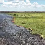 Calor intenso e risco de incêndios devem marcar próximos meses em MS