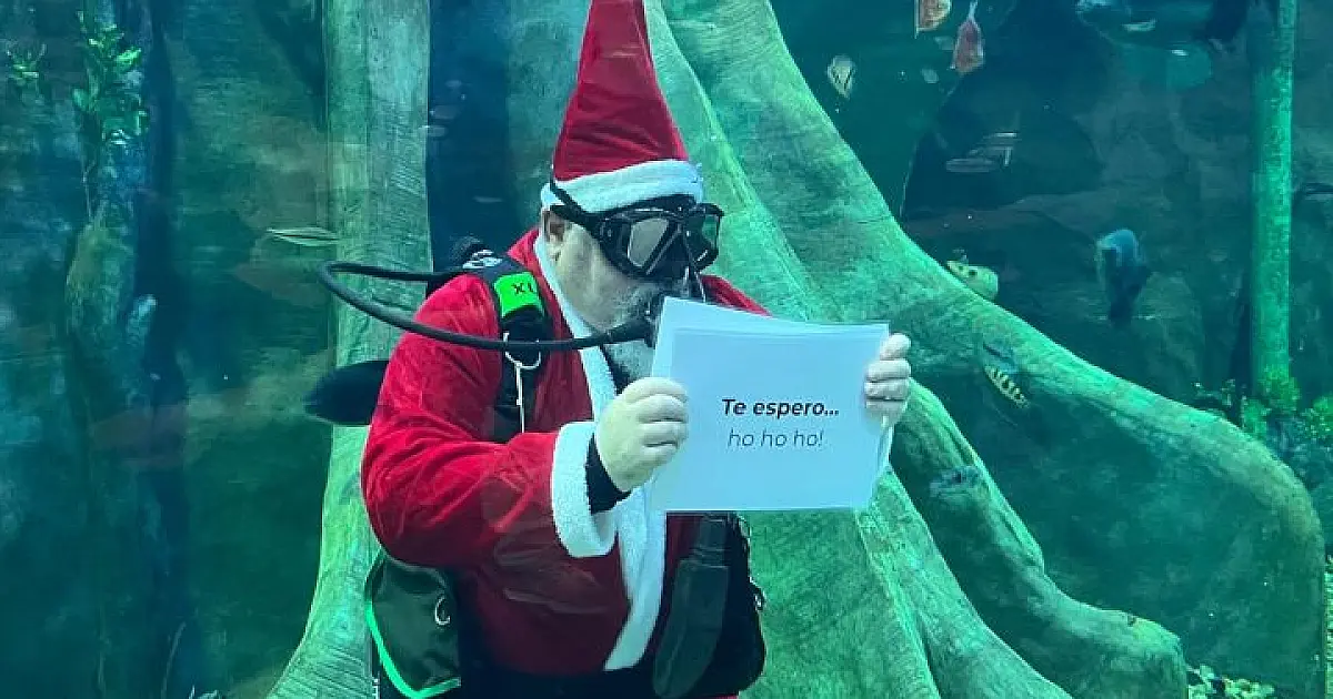 Papai Noel mergulhador anuncia programação de Natal do Bioparque Pantanal