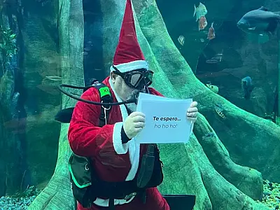 Papai Noel mergulhador anuncia programação de Natal do Bioparque Pantanal