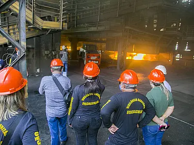 2t de alimentos apreendidos pela Vigilância Sanitária são incinerados