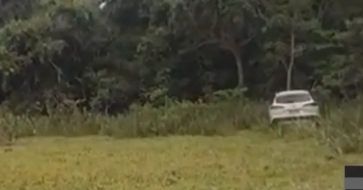 Veículo furtado é encontrado em mata fechada na área rural de Corumbá