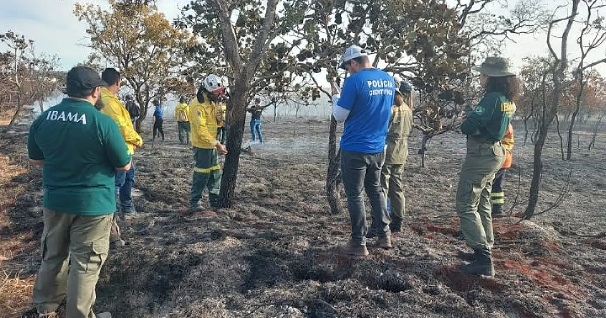 Capacitação prepara peritos, bombeiros e PMA para identificar incêndios florestais criminosos