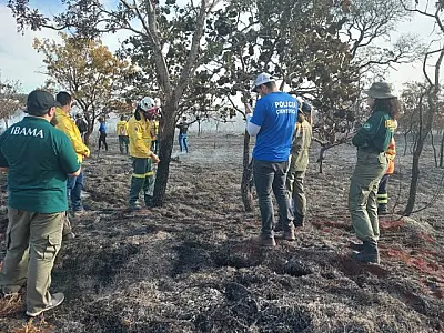 Capacitação prepara peritos, bombeiros e PMA para identificar incêndios florestais criminosos