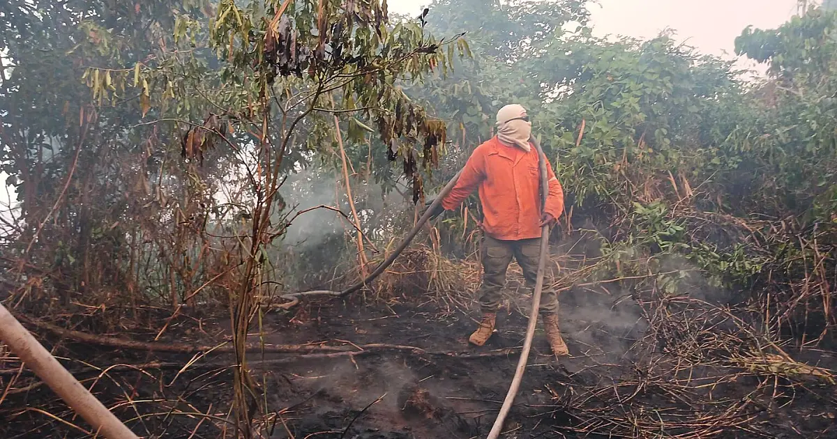 Mato Grosso do Sul tem incêndios ativos em pelo menos sete regiões