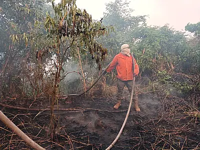 Mato Grosso do Sul tem incêndios ativos em pelo menos sete regiões