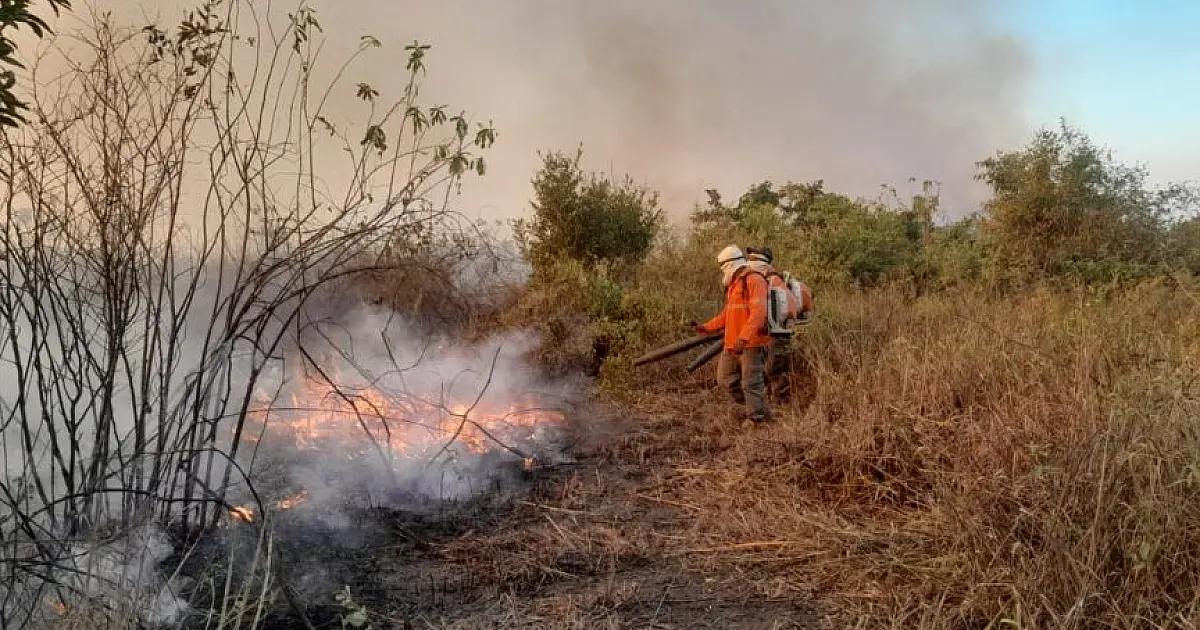 Ecoa analisa recuo do fogo no Pantanal e alerta para risco de novos incêndios nos próximos dias