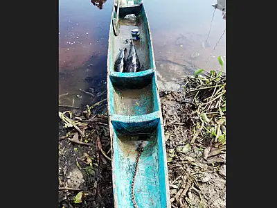 Pai e filho são multados em R$ 2 mil por pescaria ilegal no rio Paraguai