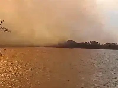 Fogo cresce na região do Bracinho e brigada da Apa Baía Negra fica sob alerta