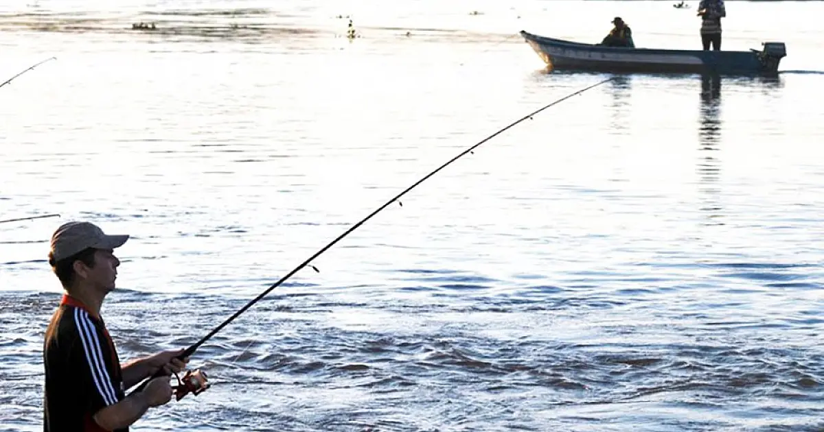 Pescadores lançam abaixo-assinado contra "cota zero" a 29 espécies de peixes