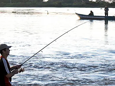 Pescadores lançam abaixo-assinado contra "cota zero" a 29 espécies de peixes