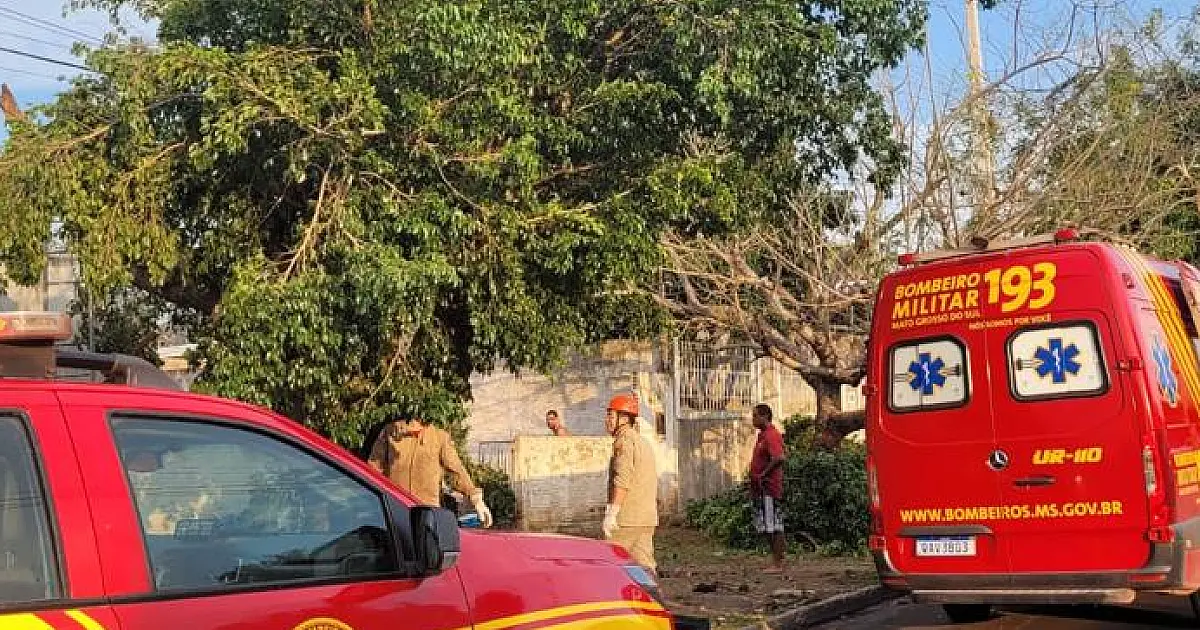 Bombeiros divulgam balanço dos atendimentos gerados pelo temporal