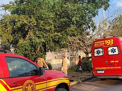 Bombeiros divulgam balanço dos atendimentos gerados pelo temporal