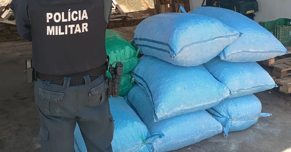 PM apreende mais de 600 kg de carga irregular na fronteira