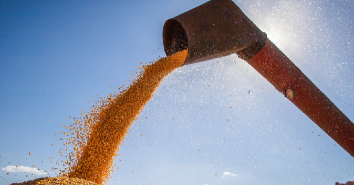 MS desponta no agronegócio nacional com alta na renda agropecuária e na busca por crédito rural