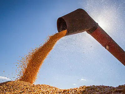MS desponta no agronegócio nacional com alta na renda agropecuária e na busca por crédito rural