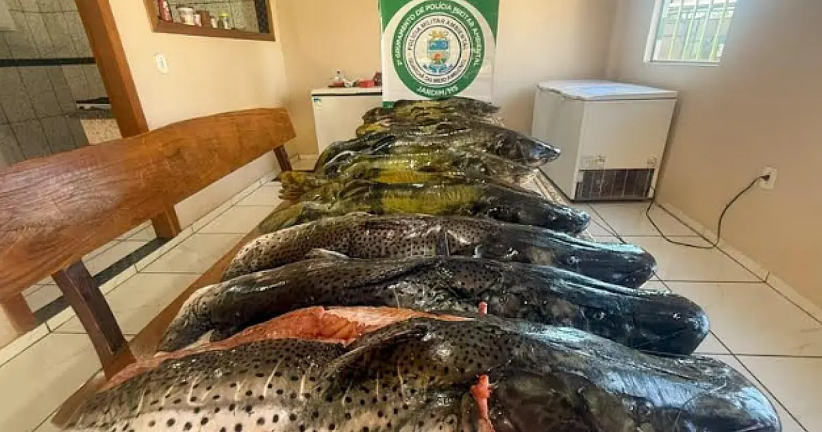PMA doa mais de 116 kg de pescado apreendidos na Operação Piracema
