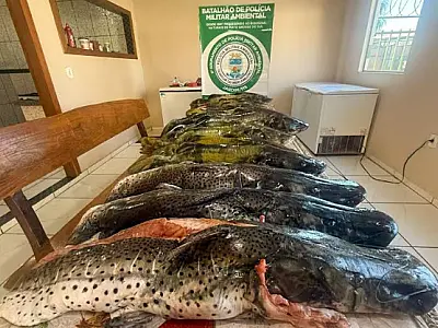 PMA doa mais de 116 kg de pescado apreendidos na Operação Piracema