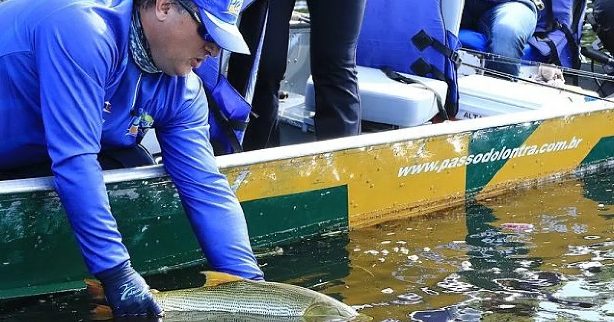 Pesque e solte está liberado a partir desta terça-feira nas calhas dos rios Paraguai e Paraná